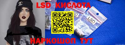 прущие грибы Кандалакша